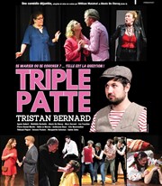 Triplepatte Espace Culturel de Prfailles Affiche