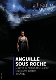 Anguille sous roche Thtre des Bergeries Affiche