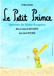 Le Petit Prince Thtre de l'Observance - salle 1 Affiche