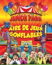 Junior parc Chapiteau Cirque Joseph Bouglione  la Rochelle Affiche