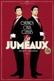 Les Jumeaux dans Grands Crus Classés La Nouvelle Comdie Gallien Affiche