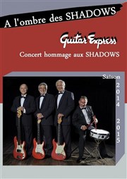 A l'ombre des Shadows Thtre du Gouvernail Affiche