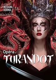 Turandot Opra de Massy Affiche