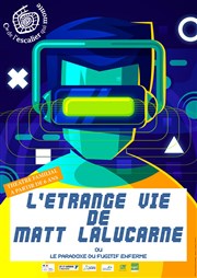 L'étrange vie de Matt Lalucarne Chteau de Morin Affiche