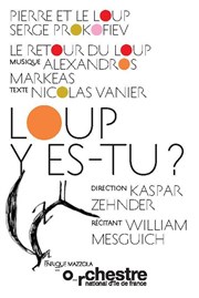 Loup y es-tu ? Salle Pleyel Affiche