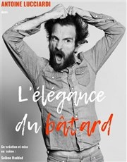 Antoine Lucciardi dans L'élégance du bâtard L'Appart Caf - Caf Thtre Affiche