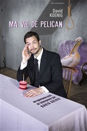 David Koenig dans Ma vie de pélican Pixel Avignon - Salle Bayaf Affiche