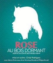 Rose au bois dormant  La Folie Thtre - Grande Salle Affiche