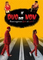 Le duo des Non Le Robinson Affiche