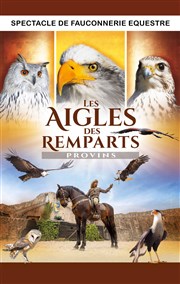 Les Aigles des Remparts Les Aigles des Remparts Affiche