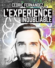 Cédric Fernandez dans L'expérience inoubliable Improvidence Bordeaux Affiche