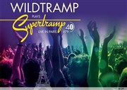 Wildtramp Thtre Le Blanc Mesnil - Salle Barbara Affiche