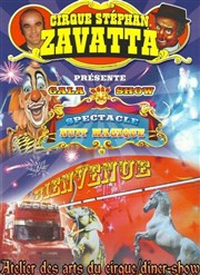 Cirque Stéphan Zavatta dans Nuit magique | - Saint Etienne Chapiteau Cirque Stephan Zavatta  Saint Etienne Affiche