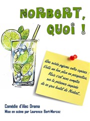 Norbert quoi ! Le Trancanoir Affiche