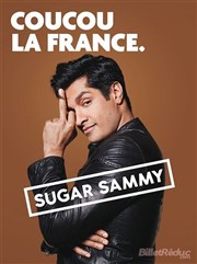 Sugar Sammy Thtre du Blanc Mesnil Affiche