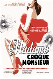 Madame croque monsieur Thtre Comdie de Lille Affiche