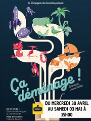 Ça déménage Kezaco Caf Thtre Affiche