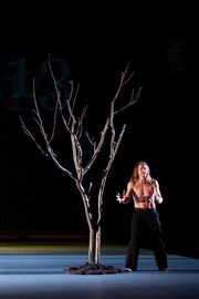 The Tree (Fragments of poetics on fire) Chaillot - Thtre National de la Danse / Salle Jean Vilar Affiche