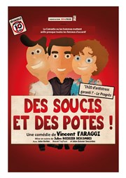 Des soucis et des potes Comdie de Grenoble Affiche