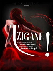 Tzigane ! Thtre de la Celle saint Cloud Affiche