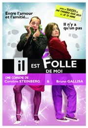 Il est folle de moi La Comdie de Toulouse Affiche