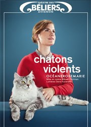 Océanerosemarie dans Chatons Violents Le Thtre des Bliers Affiche