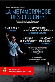 La métamorphose des cigognes Thtre 100 Noms - Hangar  Bananes Affiche