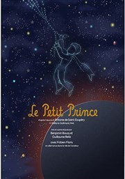 Le Petit Prince Thtre des Brunes Affiche