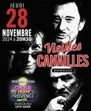 Vieilles canailles Auditorium de Vaucluse Jean Moulin Affiche