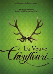 La veuve Choufleuri Thtre Comdie de Lille Affiche