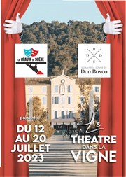 Théâtre dans la Vigne Domaine le Songe de Don Bosco Affiche