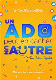 Un ado peut en cacher un autre La Comdie de Nmes Affiche