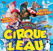 Le Cirque sur l'Eau | - Dinard Chapiteau Le Cirque sur l'eau  Dinard Affiche