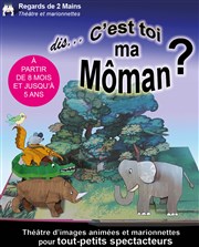 Dis, c'est toi ma môman ? Thtre des Chartrons Affiche