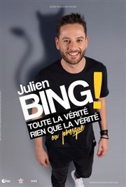 Julien Bing dans Toute la vérité, rien que la vérité, ou presque Le Troyes Fois Plus Affiche