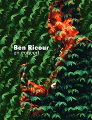 Ben Ricour | En concert Le Solo Affiche