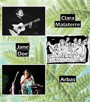 Arbas + Jane Doe + Clara Malaterre La Dame de Canton Affiche