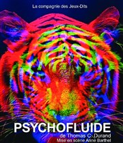 Psychofluide Thtre du Gouvernail Affiche