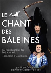 Le chant des baleines Dfonce de Rire Affiche