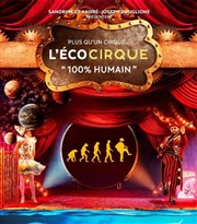 L'Ecocirque André-Joseph Bouglione | Montpellier Chapiteau de l'cocirque  Montpellier Affiche