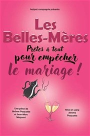 Les Belles-Mères La Comdie du Havre Affiche