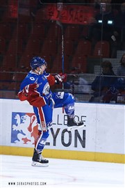 LHC : Les Lions vs Gap Patinoire Charlemagne Affiche