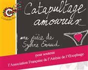 Catapultage amoureux Muse des Abattoirs Affiche