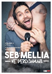 Seb Mellia dans Seb Mellia ne perd jamais Le Point Virgule Affiche