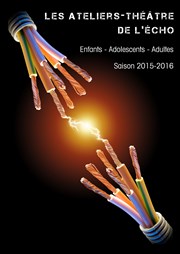 Ateliers Théâtre de l'Echo ( Adultes/Enfants) | Saison 2013-2014 Thtre de l'Echo Affiche