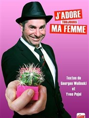 Yves Pujol dans J'adore (toujours) ma femme Studio Factory Affiche