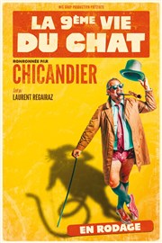 Chicandier dans La 9ème vie du chat Thtre  l'Ouest de Lyon Affiche