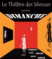 Dimanche ou Comment s'en sortir sans sortir - Théâtre des Silences La Plomberie du Canal Affiche