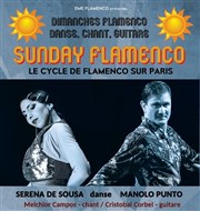 Sunday Flamenco Pniche Antipode Affiche