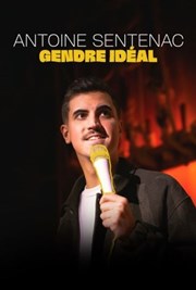 Antoine Sentenac dans Gendre Idéal La Compagnie du Caf-Thtre - Petite salle Affiche